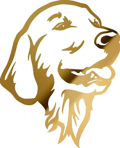 Decal Stickers of Golden Retriever (Metallic Gold) (Set of 2) Luxury Weatherproof Vinyl Decal Stickers for Laptop Desktop Smartphone Car Dirt Bike Wall Room Mason Jar Bathtub - ANDstice74301GO in Saudi Arabia