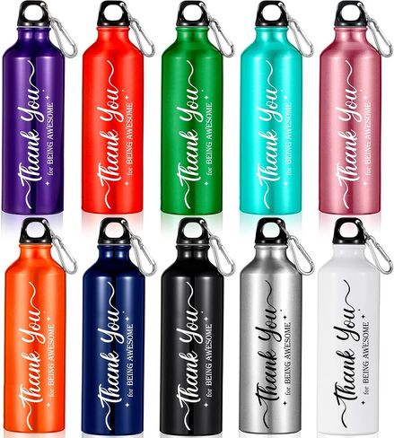 Zhehao 10 Pcs Employee Appreciation Gifts Thank You Water Bottle Gifts for Christmas Staff Coworker Lightweight Reusable Leak Proof Sports Water Bottle(25 oz) in Saudi Arabia