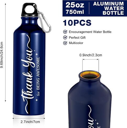 Zhehao 10 Pcs Employee Appreciation Gifts Thank You Water Bottle Gifts for Christmas Staff Coworker Lightweight Reusable Leak Proof Sports Water Bottle(25 oz) in Saudi Arabia