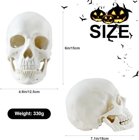 LadyRosian Halloween Decorations Life Size Skeleton Skull Decor Graveyard Outdoor Halloween Home Decor Gift in Kuwait