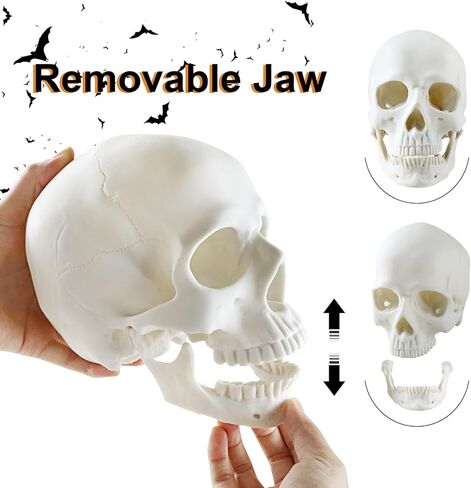 LadyRosian Halloween Decorations Life Size Skeleton Skull Decor Graveyard Outdoor Halloween Home Decor Gift in Kuwait