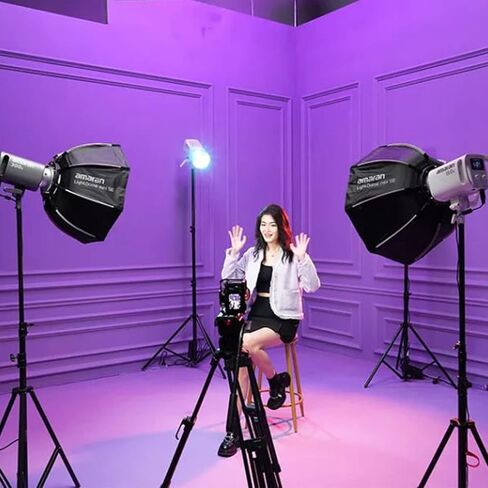 Aputure Light Dome mini II Softbox Flash Diffuser for Aputure 300D C120 120D Mark 2 120T Amaran 200X S 100X S Series, 35 Inch Deep Octagon Light Dome Photography Softbox for Other Bowen-S Mount Lights in Saudi Arabia