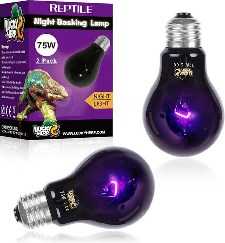 LUCKY HERP Reptile Heat Lamp 50W 2 Pack, Reptile Night Heat Bulb, Reptiles & Amphibians Basking Spot Light Bulb for Bearded Dragon, Lizard, Snake, Turtle, Chameleon in Saudi Arabia
