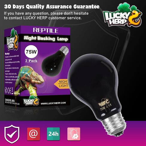 LUCKY HERP Reptile Heat Lamp 50W 2 Pack, Reptile Night Heat Bulb, Reptiles & Amphibians Basking Spot Light Bulb for Bearded Dragon, Lizard, Snake, Turtle, Chameleon in Saudi Arabia