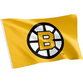 Desert Cactus Boston Bruins Flag NHL 100% Polyester Indoor Outdoor 3x5 feet National Hockey League Team Flags (Vintage Flag #1)
