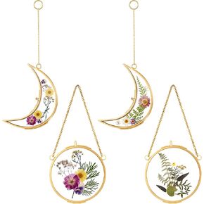 Qunclay 4 Pcs Double Glass Frame for Pressed Flowers Sun and Moon Shaped Hanging Photo Dried Flowe Frame 3.5 Inch Glass Picture Frames with Chain for DIY Crafts Dried Plant Specimen Photos Wall Decor