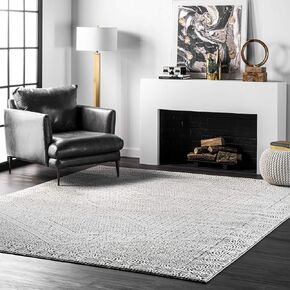nuLOOM Exie Transitional Moroccan Area Rug, 8x10, Light Grey