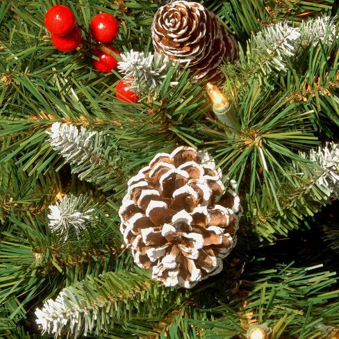 National Tree Company Pre-Lit Artificial Christmas Wreath, Green, Frosted Berry, White Lights, Decorated with Pine Cones, Berry Clusters, Frosted Branches, Christmas Collection, 30 Inches in Saudi Arabia