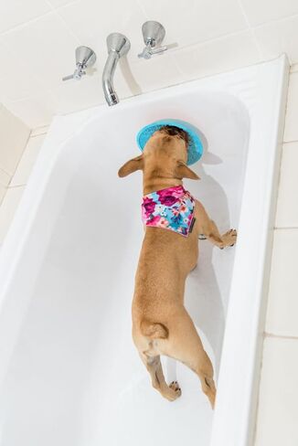 LickiMat Splash, Dog Slow Feeder Bowl Lick Mat, Boredom Anxiety Reducer, Sticks to Smooth Surface; Perfect for Food, Treats, Yogurt, or Peanut Butter. Fun Alternative to a Slow Feed Dog Bowl in Kuwait