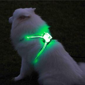 Light up Dog Harness Dog Harness LED Light Up Adjustable No Pull Pet Harness for Medium Large Dogs (M)