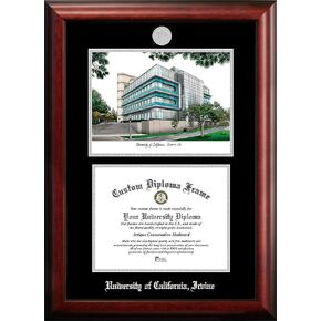 Campus Images NCAA UC Irvine Anteaters Unisex Silver Medallion Frame University of California, Irvine 11w x 8.5h Silver Embossed Diploma Frame Lithograph, Brown, One Size