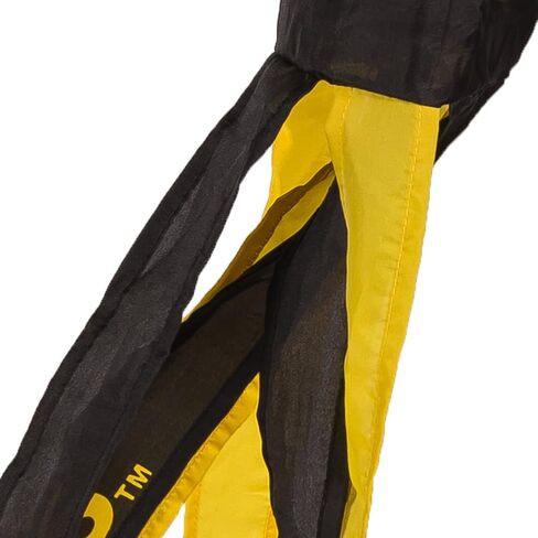 College Flags & Banners Co. Iowa 40 Inch Hawkeyes Windsock in Saudi Arabia