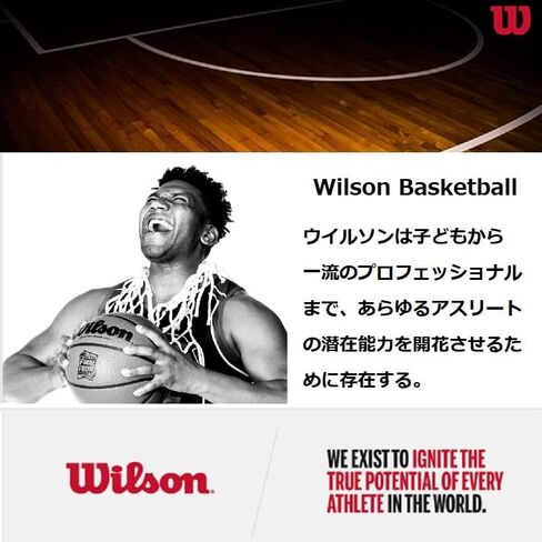 Wilson NBA Authentic Series Basketball - Indoor, Size 7 - 29.5" in Saudi Arabia