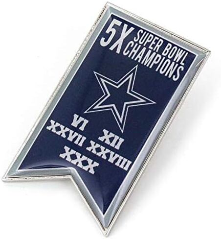 aminco NFL unisex-adult NFL Championship Banner Pin in Saudi Arabia