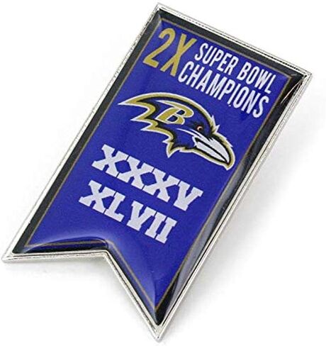 aminco NFL unisex-adult NFL Championship Banner Pin in Saudi Arabia