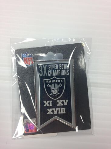 aminco NFL unisex-adult NFL Championship Banner Pin in Saudi Arabia
