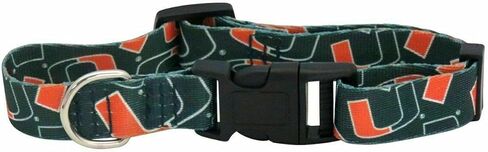 NCAA Team Pet Collar in Kuwait