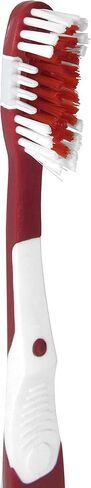NCAA Siskiyou Sports Fan Shop Alabama Crimson Tide MVP فرشاة أسنان تعمل بالبطارية مقاس واحد لون الفريق in Kuwait