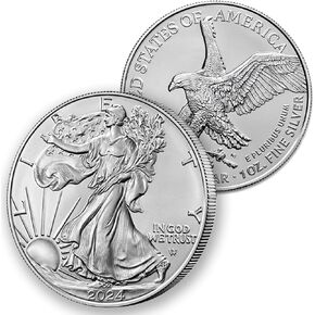 Mobiegar 2024-عملات النسور الفضية الأمريكية بالدولار الأمريكي غير المتداولة عملة تذكارية مطلية بالفضة مع صندوق in Kuwait