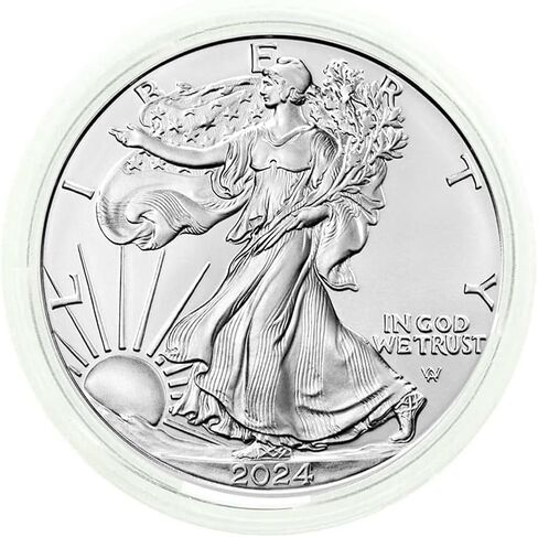 Mobiegar 2024-عملات النسور الفضية الأمريكية بالدولار الأمريكي غير المتداولة عملة تذكارية مطلية بالفضة مع صندوق in Kuwait