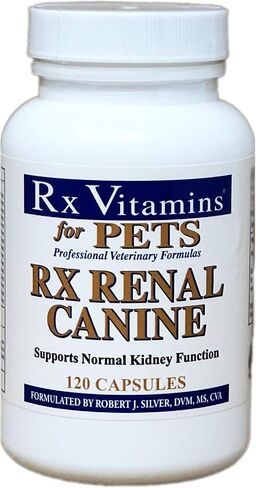 Rx Vitamins Renal Feline - Cat Kidney Support with Milk Thistle for Cats - Anti Inflammatory for Cats - Boosts Cat Antioxidant Health & Cat Liver Support - Cat Immune Booster - 120 capsules in Kuwait