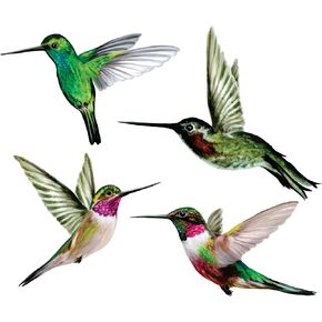 11 x Illustrated Hummingbird Window Clings for Glass Windows and Doors | Window Decals Preventing Birds Strikes | Anti Collision Window Stickers Decor | Decorative Bird Window Decals. Made in America.