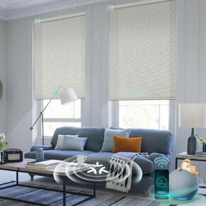 Yoolax Motorized Blinds, Matter Roller Window Shades Blackout Smart Blinds for Windows Automatic Shadess, Fabric Sample (Multicolor)