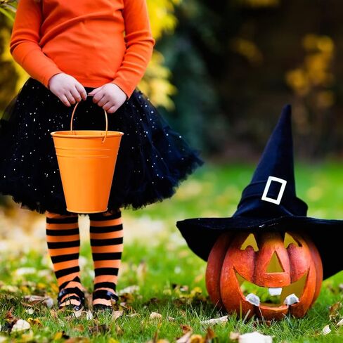 12 Pack Halloween Galvanized Buckets, Metal Bucket with Handle, 5 Inch, Tin, Mini Round Flower Pot Plant Basket, Party Supplies for Christmas Halloween Candy Bars Vase Crafts Favors(Orange) in Kuwait