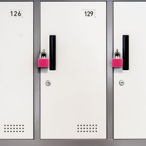 2 Pcs Aluminum Padlocks with Keys, Anti-Rust Weatherproof Lock Heavy Duty Solid Keyed Locks Locker Padlocks Small Outdoor Padlocks for Fence Gate Garage Shed School Gym Locker(Pink) in Saudi Arabia