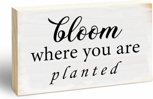 Rustic Wooden Block Sign - You Got This - 5"X3" Pine Wood Plaque, Home & Garden Decor, Housewarming Gift For Friends, Desk & Tabletop, Shelf Accessories - A18 in Saudi Arabia