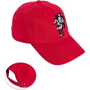Desert Cactus The Ohio State University Baseball Hat OSU Buckeyes Brimmed Embroirderd Hats Cap Adjustable Cloth Strap Adult (Style F1) Red