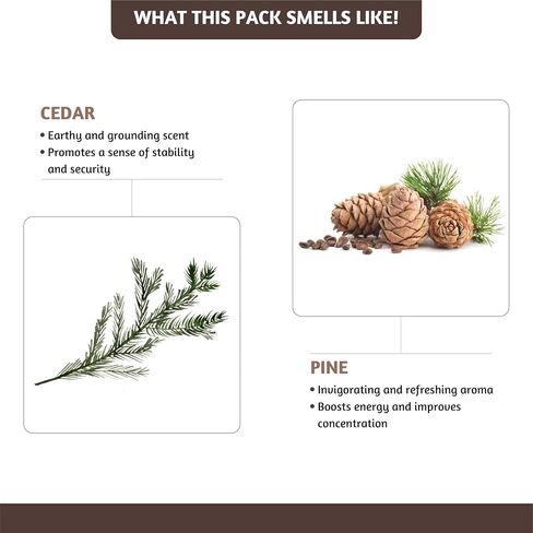Folkulture Christmas Incense Cones Scented, Set of 2 Inscents-Cones (30 Cones), Balsam & Cedar, Insence Cones for Relaxation, Christmas Scents - Christmas Cookie and Balsam Cedar Incense Cones in Saudi Arabia