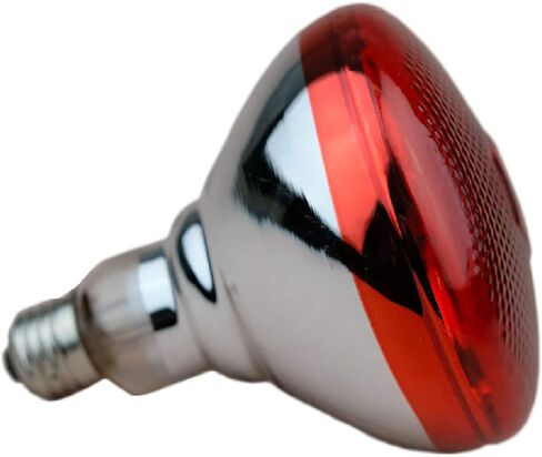 Infrared Bulb Red Hard Explosion-Proof Glass Infrared Heat Lamp Bulb for Chicks, Chicken, Pet, Bathroom Warming Light Bulb (120V,150W) in Saudi Arabia