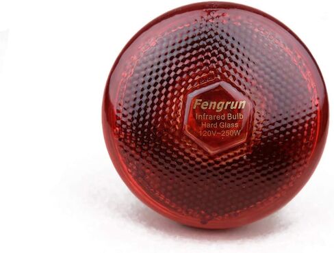 Infrared Bulb Red Hard Explosion-Proof Glass Infrared Heat Lamp Bulb for Chicks, Chicken, Pet, Bathroom Warming Light Bulb (120V,150W) in Saudi Arabia