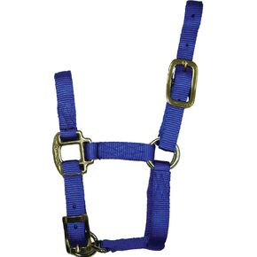 Hamilton 3/4-Inch Adjustable Quality Horse Halter, Pony or Average Miniature Donkey, Blue