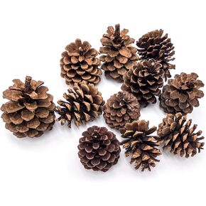 Premium Grade A Cinnamon Scented Ponderosa Pinecone 10oz Net Weight for Home, Office and Retail Décor