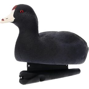 Avian X Top Flight Coot with Ultra Realistic Paint Scheme and Weight Forward Keel for Hunting Purposes, Outdoor Sports, and Recreation