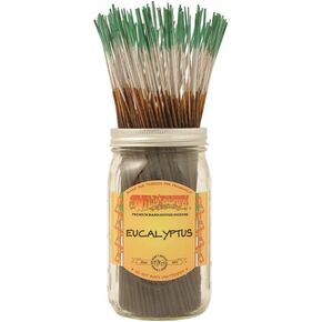 Wild Berry Eucalyptus 100 Stick Bundle