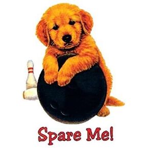 Master Spare Me Towel