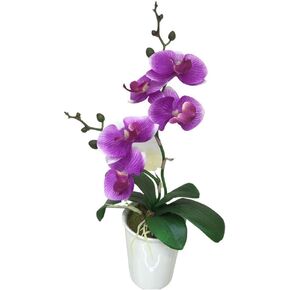 Restaurantware Fiore 4 x 15 Inch Artificial Moth Orchids 12 Potted Fake Orchids - 8 Blooms Use As Centerpieces Home Decor, Office, Magenta Plastic Faux Orchids For Weddings Or Parties In Plastic Pots