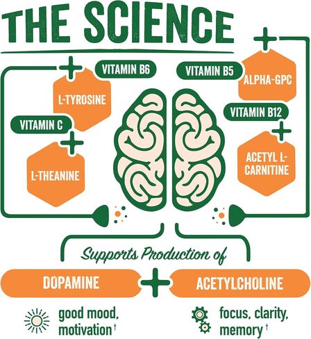 BrainJuice Decaf Brain Support Shot, Gluten Free Supplement Shots for Energy & Focus, Healthy Drinks with Alpha GPC, Vitamin B & Decaffeinated Green Tea Leaf, Classic, 2.5 fl oz, 12 Pack in Saudi Arabia