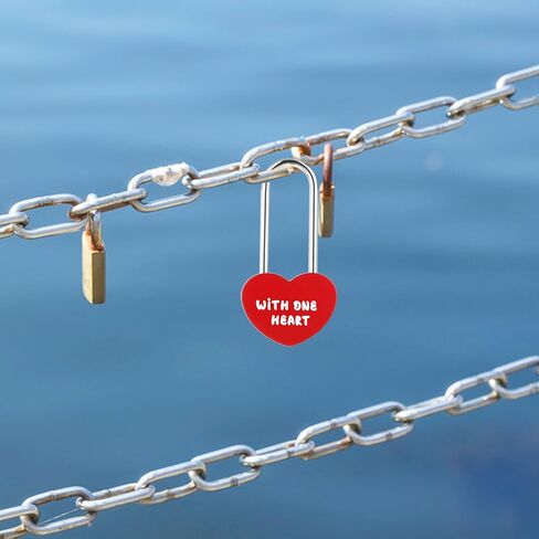 2pcs Love Lock for Bridge, 4 Inch 50mm Heart Padlock Cute Wish Lock Engraved Lock Red Single Heart Shaped Lock, Metal Padlock Without Key for Lovers Wedding, Anniversary, Travel, Valentines Day in Saudi Arabia