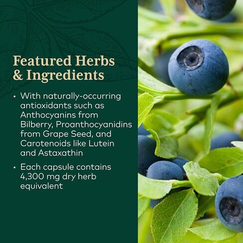 أعشاب غايا - تركيبة Ocular Pro، 60 كبسولة نباتية in Kuwait