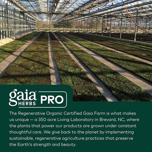 أعشاب غايا - تركيبة Ocular Pro، 60 كبسولة نباتية in Kuwait