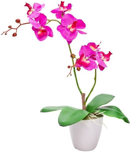 Restaurantware Fiore 4 x 15 Inch Artificial Moth Orchids 12 Potted Fake Orchids - 8 Blooms Use As Centerpieces Home Decor, Office, Magenta Plastic Faux Orchids For Weddings Or Parties In Plastic Pots in Saudi Arabia