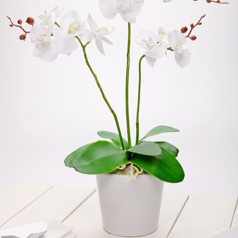 Restaurantware Fiore 4 x 15 Inch Artificial Moth Orchids 12 Potted Fake Orchids - 8 Blooms Use As Centerpieces Home Decor, Office, Magenta Plastic Faux Orchids For Weddings Or Parties In Plastic Pots in Saudi Arabia