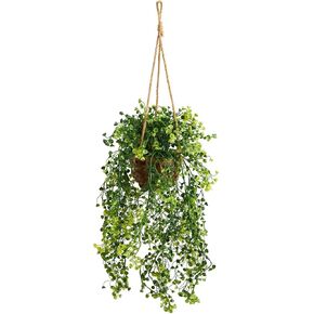 Nearly Natural 20in. Baby Tear Artificial Plant in Hanging Basket