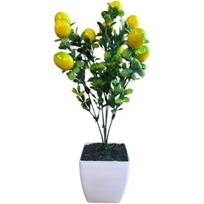 Pixies Gardens Artificial Lemon Bonsai in Square Plastic Pot