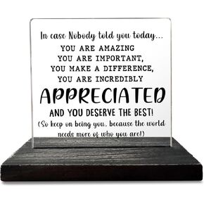 Excel Sheet Gift Spreadsheet Gifts Funny Accountant White Elephant Gifts for Women, Men, CPA, CFO, Coworkers, Boss, Colleague, Excel Desk Plaque Sign for Home Office Desk Cubicle Shelf GBA46 in Kuwait