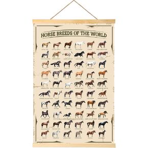 EIHFHIE Horse Gifts for Girls Horse Poster Horse Knowledge Horse Breeds of The World Poster Horse Pictures Wall Decor Gifts for Horse Lovers 16x25 In